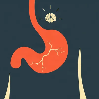 Gut-Brain Drugs: Why Old Antidepressants Help Bloating