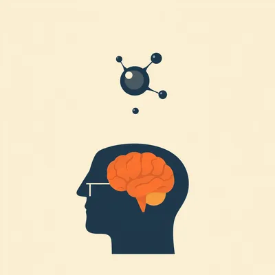 Why Histamine Keeps You Awake and Makes You Sneeze