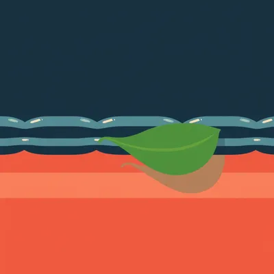 Mandatory Scope 3: The End of Voluntary Carbon Reporting